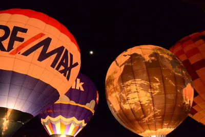 DSC_2439 (Large).JPG